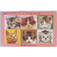 Kittens V5 Japan NTT Phone Card