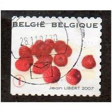 BEL 2007 (52c)(S/A) 'FRUIT- RASPBERRIES' FINE USED (EBID10409)