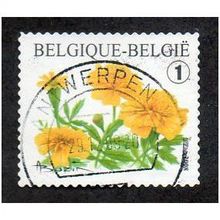 BEL 2008 (54c)(S/A) 'FLOWERS-TAGERTES PORTULA' FINE USED (EBID29-137)