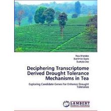 Deciphering Transcriptome Derived Drought Tolerance Mechanisms in Tea - Raju Bha