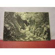 WATER LANES, MOULIN HUET, GUERNSEY CHANNEL ISLES unused antique postcard /