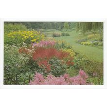 The Dell Bressingham Gardens Diss Norfolk Postcard K25