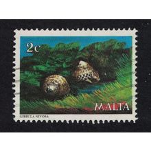 Malta Shells 'Gibbula nevosa' Marine Life 1979 Canc SG#630