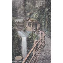 EC899 SHANKLIN CHINE . PRINTED POSTCARD