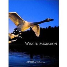 Winged Migration