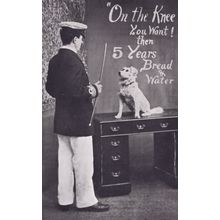 Sailor & Dog Military Training Bread & Water Rations Stick Antique Dogs Postcard