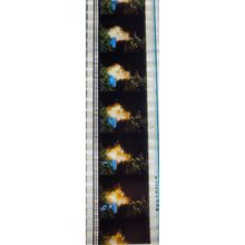 HE - MAN & MASTERS OF UNIVERSE. pk MTP - a014N. 1 strip of 5 - 35mm film cells.