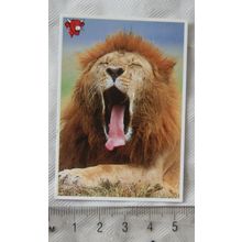 Unusual Friends of the Laughing Cow No. 12 The Lion