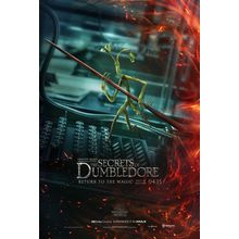 Fantastic Beasts_ The Secrets of Dumbledore (2022)_5 Movie Film Poster Canvas ic