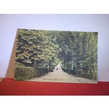 SPENCER ROAD, RYDE, ISLE OF WIGHT. unused antique postcard by J. Welch =