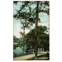 Postcard UK Staffordshire Rudyard New Walk trees man by fence unposted