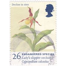 Great Britain 1998 Endangered Species 26p Ladys Slipper Orchid Used SG2016 Stamp