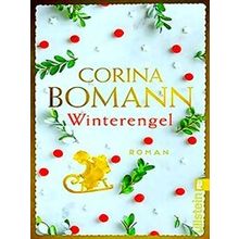 Winterengel