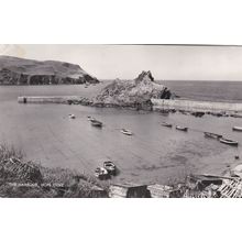 EC877 HOPE COVE - THE HARBOUR. R/P POSTCARD