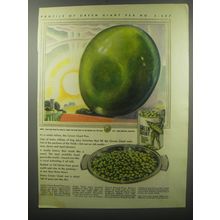 1937 Green Giant Peas Ad - Profile of Green Giant Pea No. S - 537
