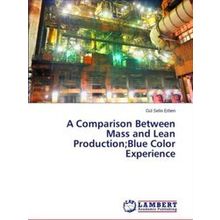 A Comparison Between Mass and Lean Production;Blue Color Experience