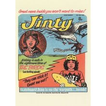 Skateboard The Birds Hitchcock Story 1970s Jinty Girls Comic Postcard