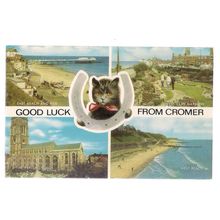 multiview, CROMER, NORFOLK. unused vintage postcard.by J Salmon =