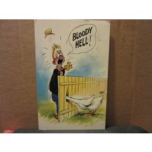 SAUCY SEASIDE POSTCARD 1977 pm BAMFORTH & CO. no 160 black triangle geese #