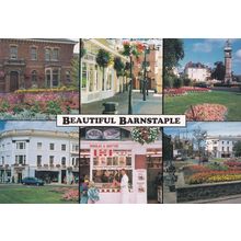 Barnstaple Butchers Devon Postcard