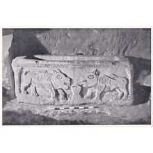 Beth Shearim The Lion Sarcophagus Israel Postcard