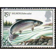 Great Britain 1983 British River Fishes 15½p Atlantic Salmon Used SG 1207 stamp