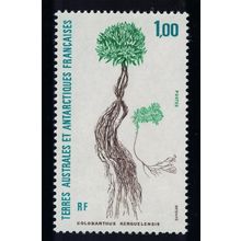 FSAT TAAF Polar Flora 'Colobanthus kerensis' 1992 MNH SG#295 MI#287