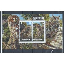 Gibraltar stamps. 2020 Owls minisheets MNH (AA136) birds