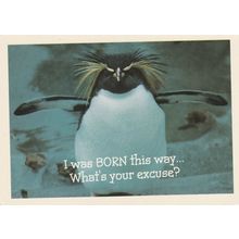 HALLMARK - BORN THIS WAY - POSTCARD .