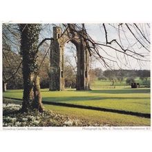 Snowdrop Garden Walsingham Norfolk Postcard