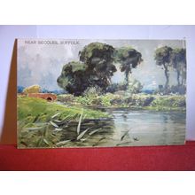 NEAR BECCLES, Suffolk. unused antique postcard =