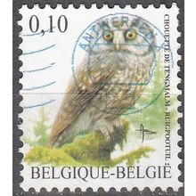 Belgique 2007 Michel 3674 O Cote (2008) 0.30 € Chouette de Tengmalm Cachet rond