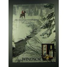 1981 Windsor Canadian Whisky Ad - One Stands Alone