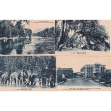 Colombo Elephants Hotel A Giant Banyan River 4x Postcard s
