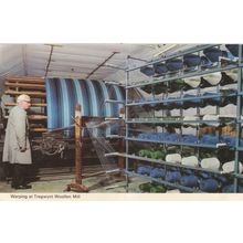 Warping at Tregwynt Woollen Mill Welsh 1970s Rare Postcard