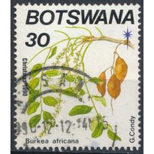 Christmas, Flowering Trees: 30t - Botswana 1990 - FH - SG 704