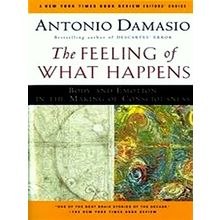 The Feeling of What Happens; Body and Emotion in the Making of Consciousness