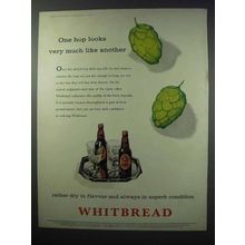 1960 Whitbread Ale Ad - One Hop Looks Like Another