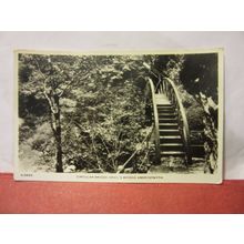 CIRCULAR BRIDGE, DEVIL'S BRIDGE ABERYSTWYTH unused postcard by Dennis RP =