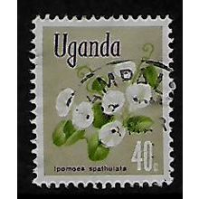 UGANDA 1969 FLOWES 40c IPOMOEA SPATHULATA SG 136 FINE USED#