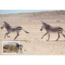 Hartmanns Mountain Zebra Rare Africa Namibia WWF Stamp FDC Postcard