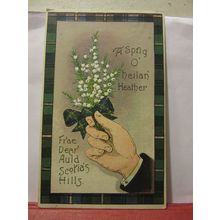 SCOTTISH a sprig of heilan' HEATHER used antique postcard 1917 pm /