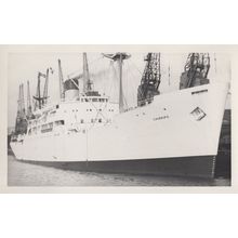 Chirripo Ship Built By Alexander Stephen & Sons Vintage Rare Photo