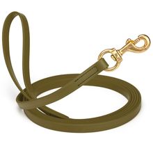 Dog Pet Leash Olive Drab Green w/ Brass Hardware W 5/8" - L10'