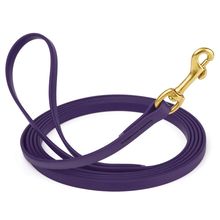 Dog Pet Leash Violet Purple w/ Brass Hardware W 1/2" - L10'