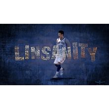 LINSANITY (2013) 4 Art Gallery Poster Canvas Print Wall Decoration A0 A1 A2 A3 A