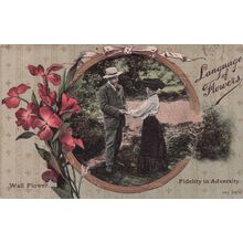 Language Of Flowers Wall Flower Fidelity In Adversity Postcard