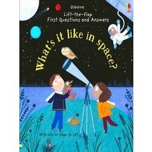 What's it Like in Space Lifttheflap First Questions and Answers 1