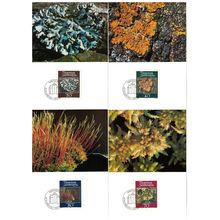 Liechtenstein Mosses and Lichens 4v Maxicards 1981 SG#771-774 MI#776-779