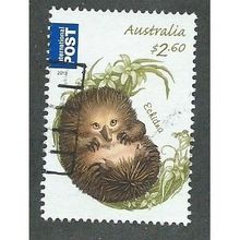 AUS 2013 $2.60 ' BUSH BABIES -ECHIDNA' FINE USED (EBID37-855)